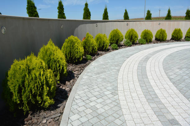 Best Local Driveway Pavers  in Shenandoah, PA